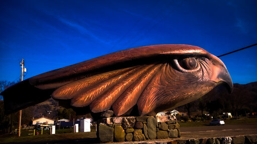 hawk statue